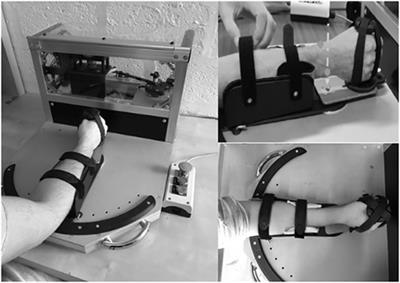 Effect of Age and Body Size on the Wrist's Viscoelasticity in Healthy Participants From 3 to 90 Years Old and Reliability Assessment